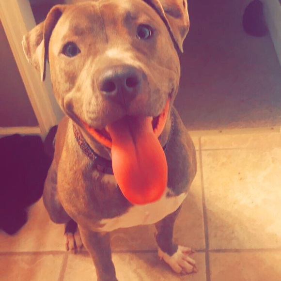 Meet the posher! - Picture 4 of 4